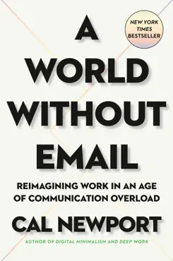a world without email book cover image