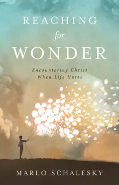 reaching for wonder book cover image