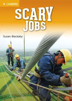 scary jobs book cover image