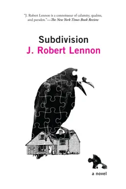 subdivision book cover image