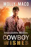 Improbable Wishes synopsis, comments
