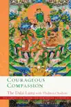 Courageous Compassion synopsis, comments