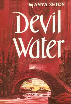 devil water book cover image