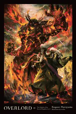 overlord, vol. 13 (light novel) book cover image