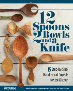 12 spoons, 2 bowls, and a knife book cover image