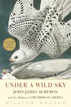 under a wild sky imagen de la portada del libro