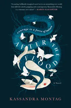 after the flood book cover image