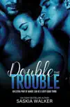 Double the Trouble synopsis, comments