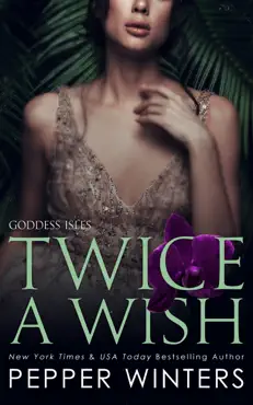 twice a wish book cover image