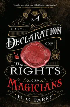 a declaration of the rights of magicians book cover image