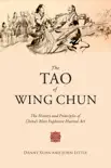 The Tao of Wing Chun synopsis, comments