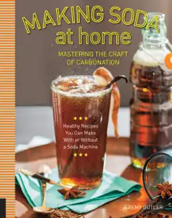 making soda at home book cover image