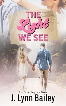 the light we see book cover image