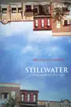 Stillwater synopsis, comments