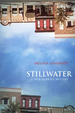 stillwater book cover image