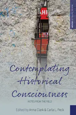 contemplating historical consciousness book cover image