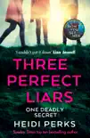 Three Perfect Liars sinopsis y comentarios