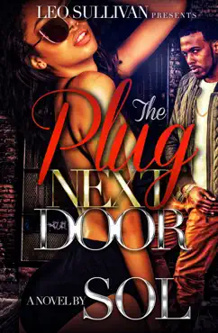 the plug next door book cover image
