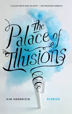 the palace of illusions book cover image
