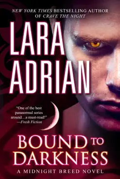 bound to darkness book cover image