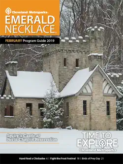 emerald necklace book cover image