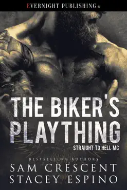 the biker's plaything book cover image