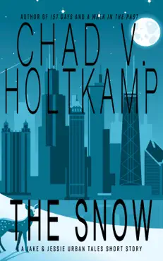 the snow book cover image
