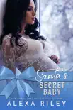 Santa's Secret Baby e-book