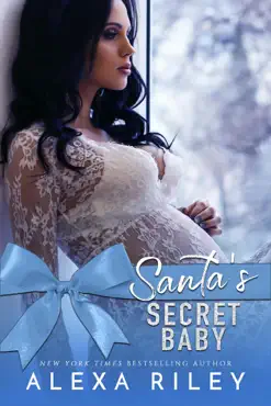 santa's secret baby book cover image