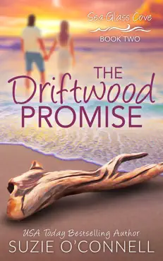 the driftwood promise book cover image