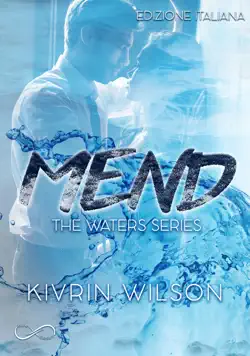 mend book cover image
