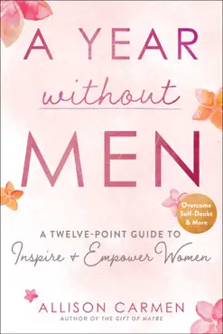 a year without men book cover image