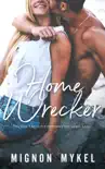 Homewrecker synopsis, comments