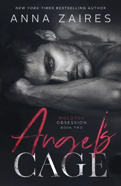 angel’s cage book cover image