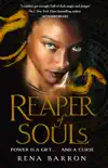 Reaper of Souls sinopsis y comentarios