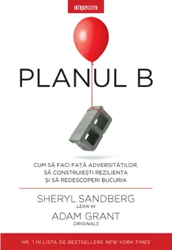 planul b book cover image
