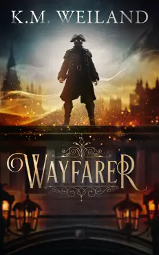 wayfarer book cover image