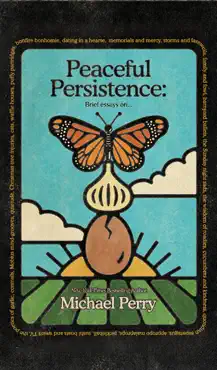 peaceful persistence book cover image