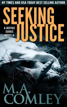 seeking justice book cover image