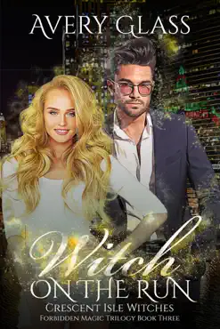 witch on the run book cover image