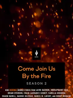 come join us by the fire season 2 book cover image