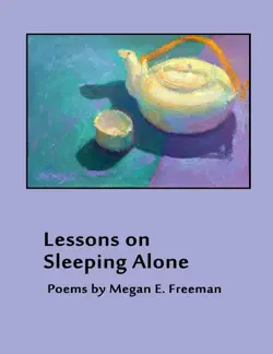 lessons on sleeping alone book cover image