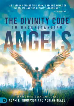 the divinity code to understanding angels book cover image