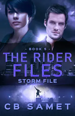 storm file book cover image