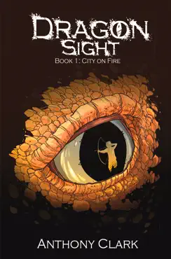 dragon sight book cover image