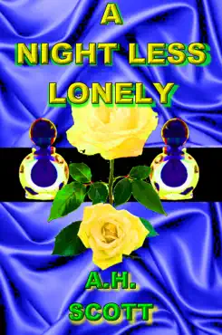 a night less lonely book cover image