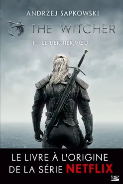 the witcher : le dernier vœu book cover image
