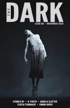 the dark issue 66 book cover image