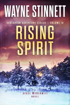 rising spirit book cover image