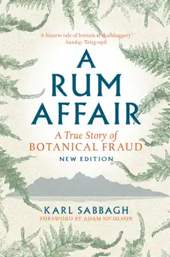 a rum affair book cover image